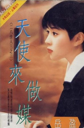 《天使来作媒(二八佳人系列之三)》