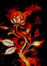 《彻夜未眠》