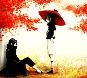 《鸢尾花》