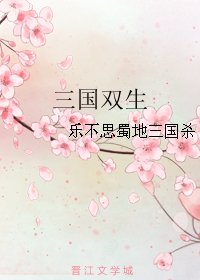 （三国同人）三国双生