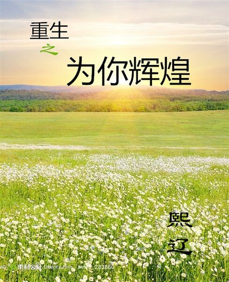 《重生之为你辉煌》