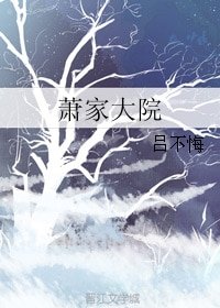 《萧家大院》