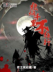 《狼烟千里不独行》