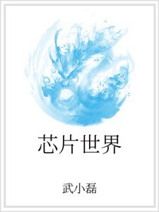 芯片世界
