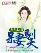 《呆妻驯夫》