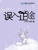 误入正途