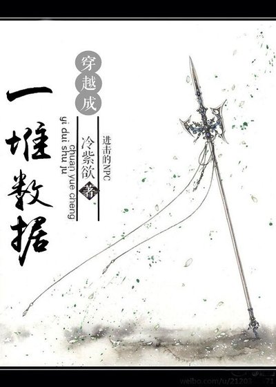 穿越成一堆数据
