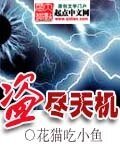 《盗尽天机》