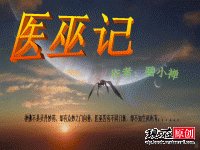 《医巫记》