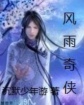 《风雨奇侠》