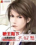 《狼王陛下不好惹》
