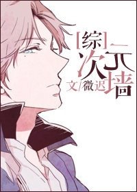 （综漫主网王同人）[综]次元墙
