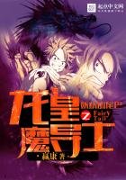 《妖精的尾巴之龙皇魔导士》
