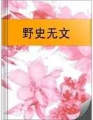 野史无文