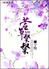 《萱草粲粲》
