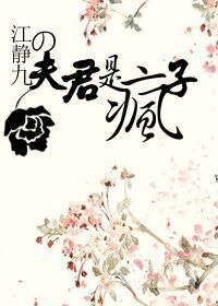 《夫君是疯子/调“教”女道士)》