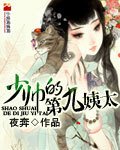 《少帅的第九姨太》