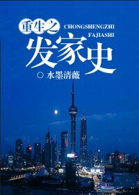 《重生之发家史》