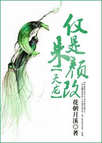 仅是朱颜改
