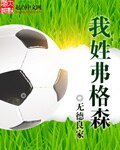 《我姓弗格森》