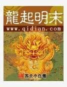 龙起明末