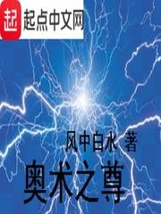 《奥术之尊》