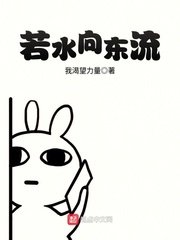 《若水向东流》