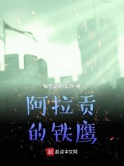 《阿拉贡铁鹰》