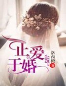 《止爱于婚》