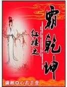 红楼之霸乾坤
