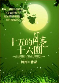 《十五的月亮十六圆》