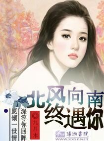 北风向南终遇你