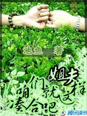 姐夫，咱们就这样凑合吧