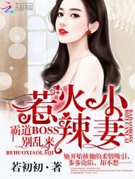 《惹火小辣妻:霸道BOSS,别乱来!》