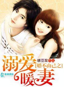 婚不由己之溺爱暖妻/小妻诱人