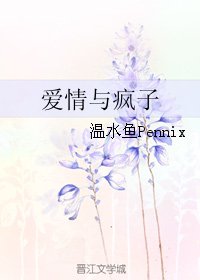 《爱情与疯子》