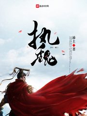 《执魏》