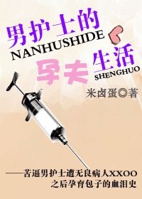 《男护士的孕夫生活》