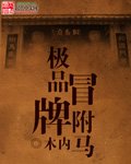 《极品冒牌驸马》