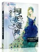 《暖宠之拽妻难撩》