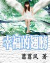 《幸福的翅膀》