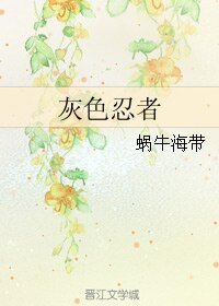 灰色忍者