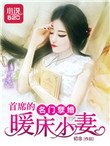 名门孽婚:首席的暖床小妻