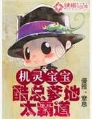 《机灵宝宝:酷总爹地太霸道》