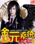 《金元系统》