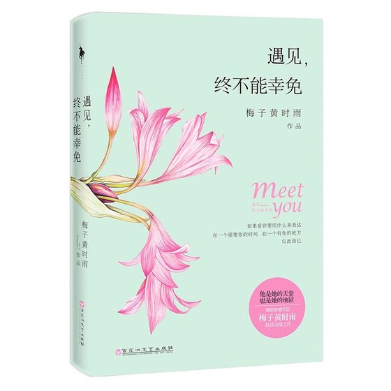 《遇见,终不能幸免(出书版)》
