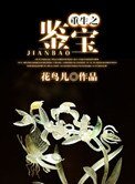《重生之鉴宝》