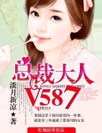 《总裁大人,V587!》