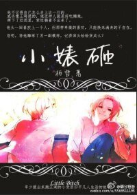 《小婊砸》