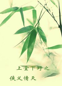 《侠义情天》